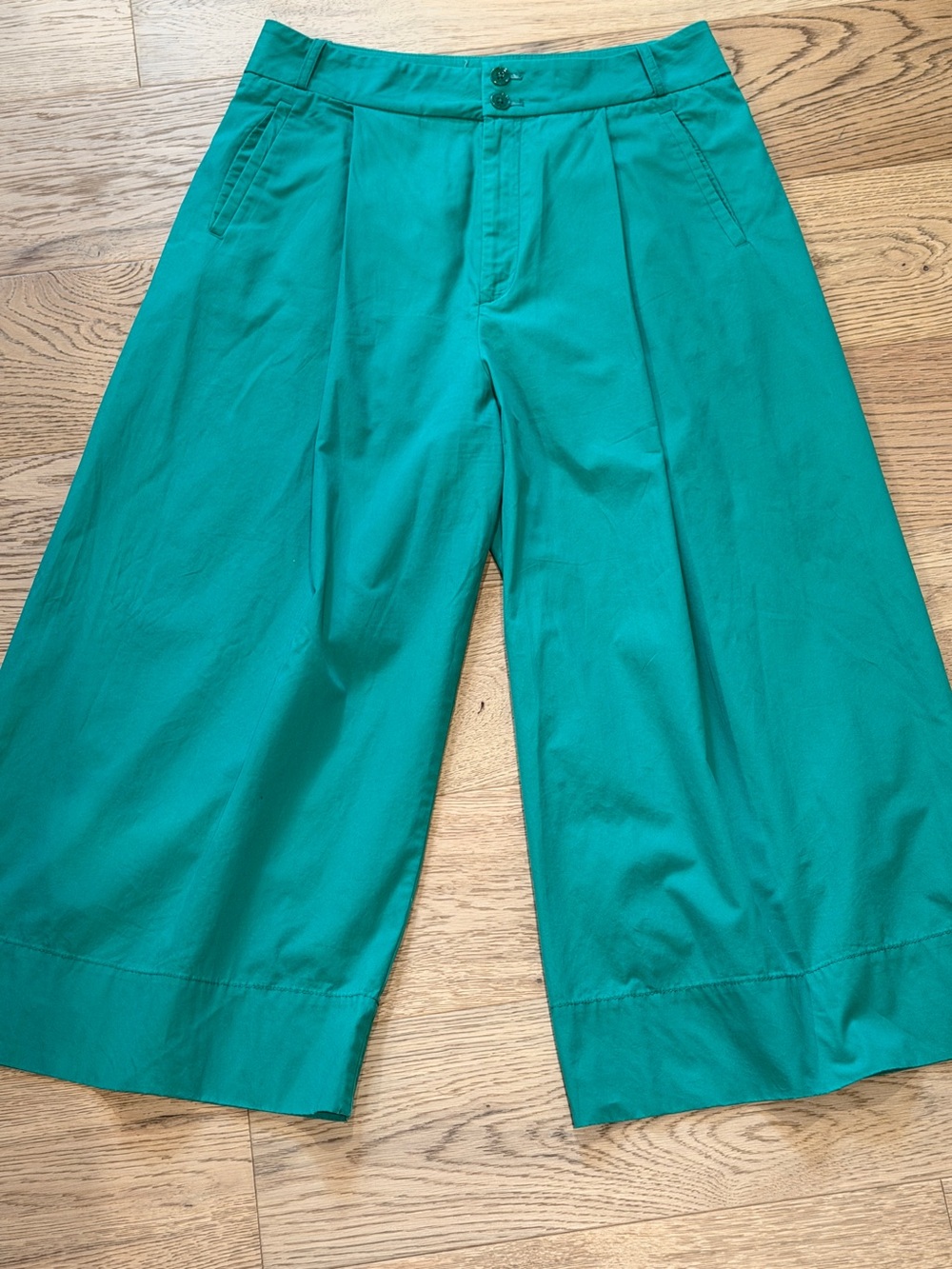 Anthropologie poplin cotton green culottes Sz 10 tall